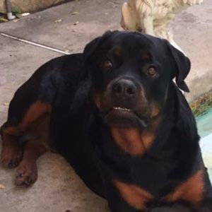 Meet your Posher, Jill